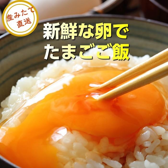 【送料無料】 美野里たまご 玉子 10個入り 3パックと有機米5kgセット 卵 玉子_6