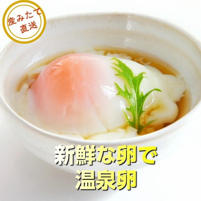 【送料無料】 美野里たまご 玉子 10個入り 3パックと有機米5kgセット 卵 玉子_7