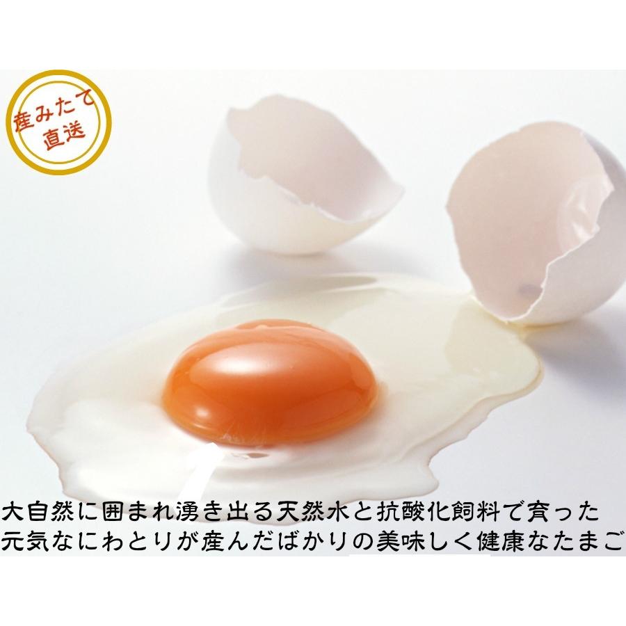 【送料無料】 美野里たまご 玉子 10個入り 3パックと有機米5kgセット 卵 玉子_9