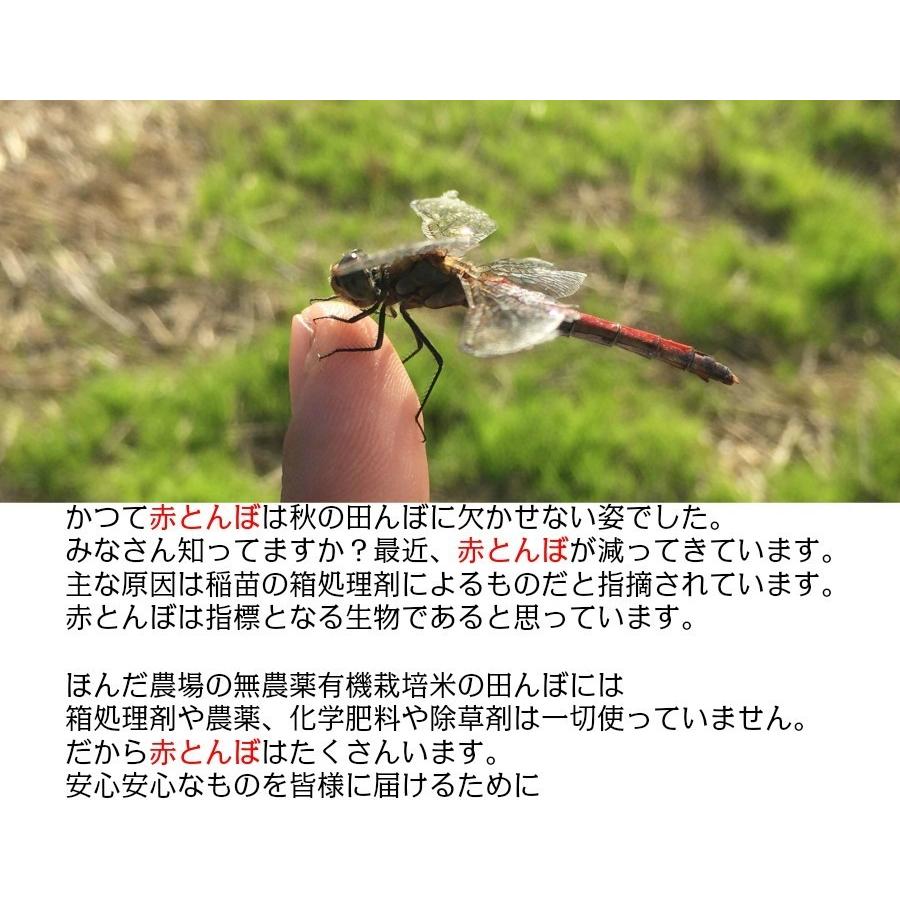 オーガニック 令和7年産 無農薬 有機米 コシヒカリ食用玄米 30kg JAS