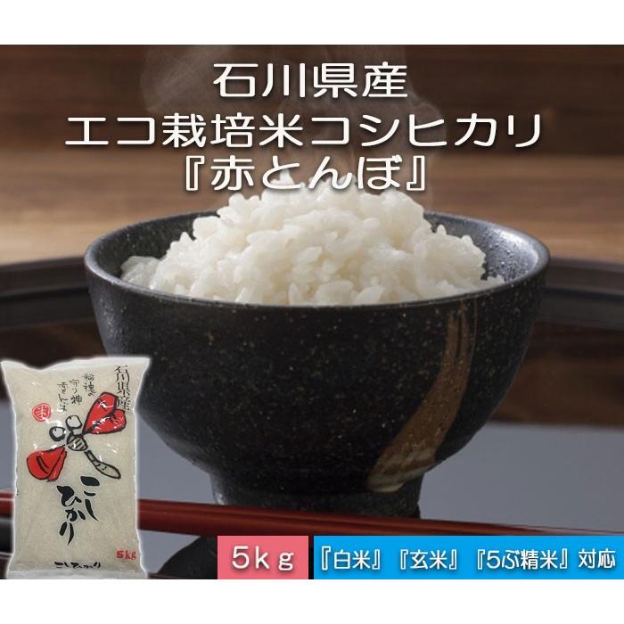 令和5年産 新米 加賀百万石 こしひかり エコ栽培米 石川県産 赤とんぼ   白米 5kg｜hondanojo