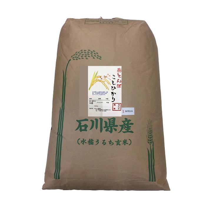 コシヒカリ 令和7年産 加賀百万石 こしひかり エコ栽培米 石川県産