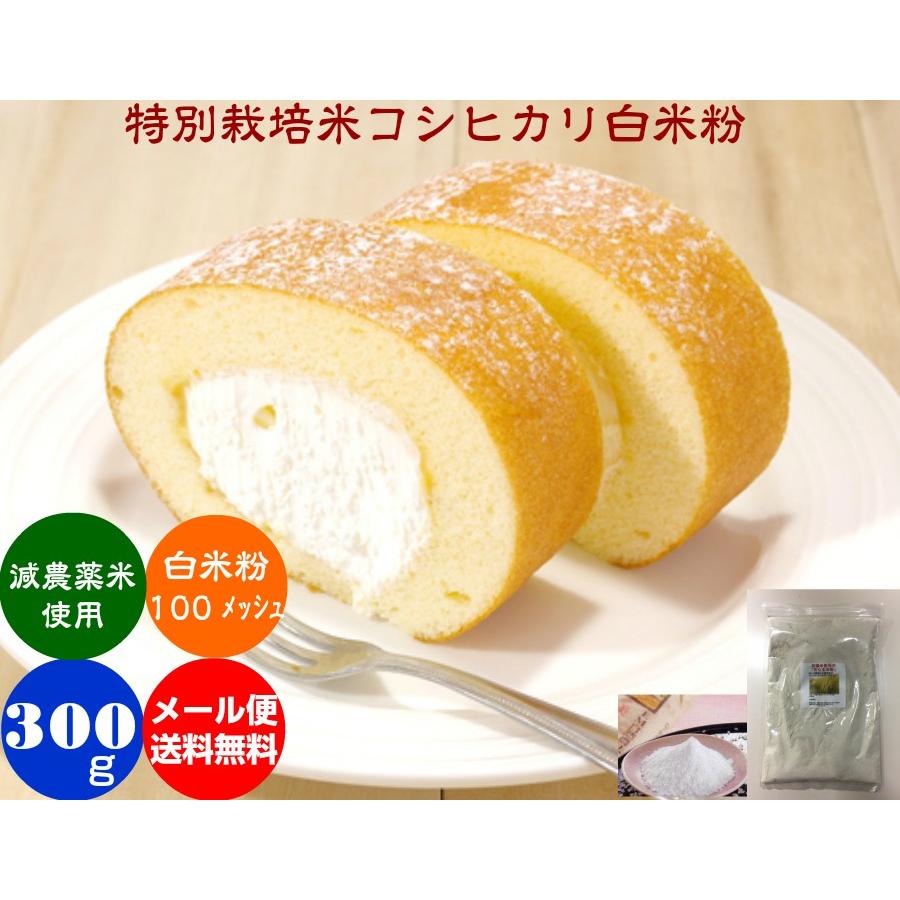 １着でも送料無料 コシヒカリ 白米粉 色白美人 300ｇ メール便 送料無料