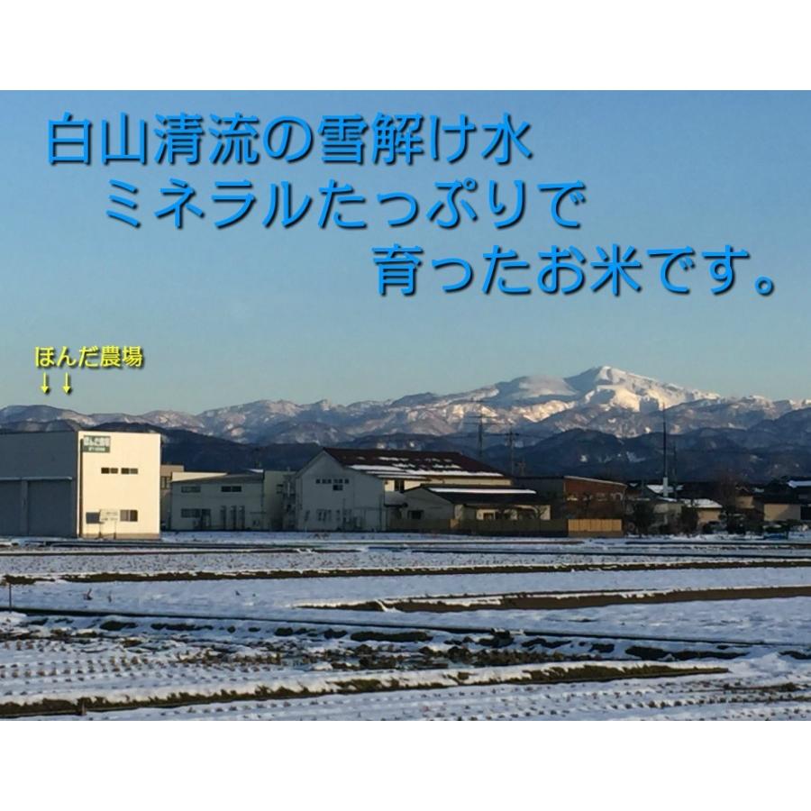 令和6年産 EM自然農法 無農薬 【ソニック】新玉ねぎ　1ｋｇ｜hondanojo｜07