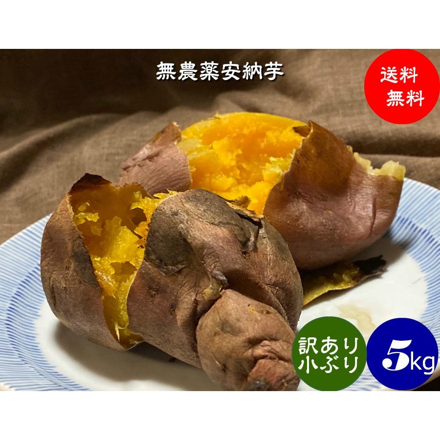有機栽培 【JAS認証】 EM農法 わけあり 安納芋（さつまいも）１袋５kg｜hondanojo