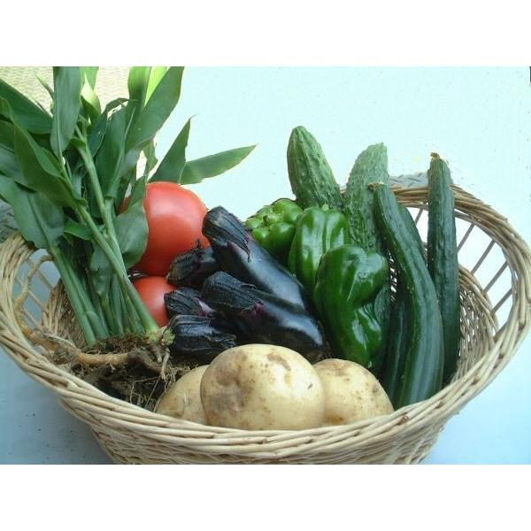 菜種油粕 20kg : ほんだ農場ヤフー店 - 通販 - Yahoo!ショッピング