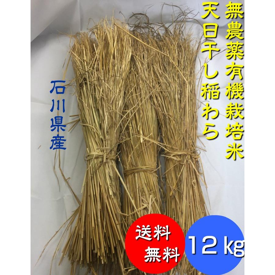 無農薬、有機栽培天日干し稲藁 12kg （約40束）わら ワラ 無農薬