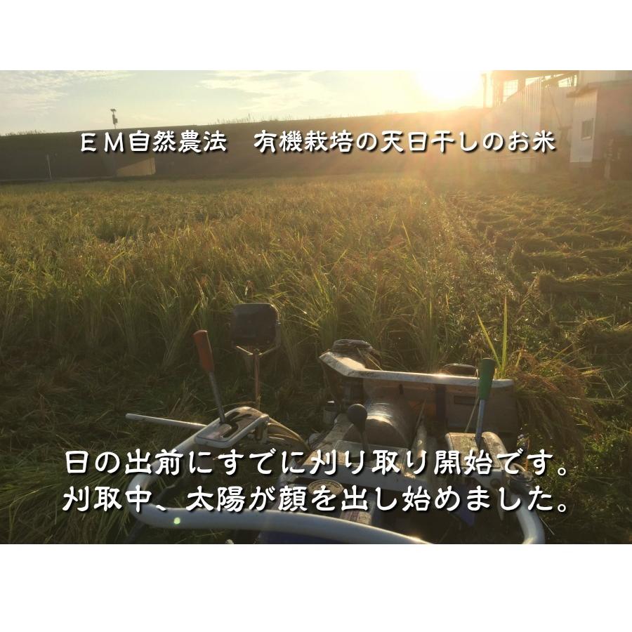 稲わら天日干し12キロ専用1 無農薬、有機栽培天日干し稲藁 12kg （約40束）わら ワラ 無農薬