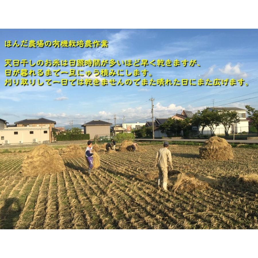 無農薬、有機栽培天日干し稲藁 12kg （約40束）わら ワラ 無農薬