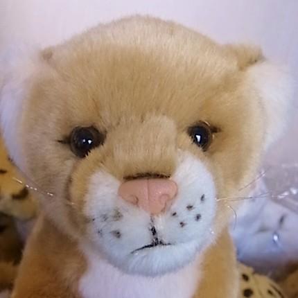 メスライオン ぬいぐるみ Sサイズ ワイルドライフアニマルズ