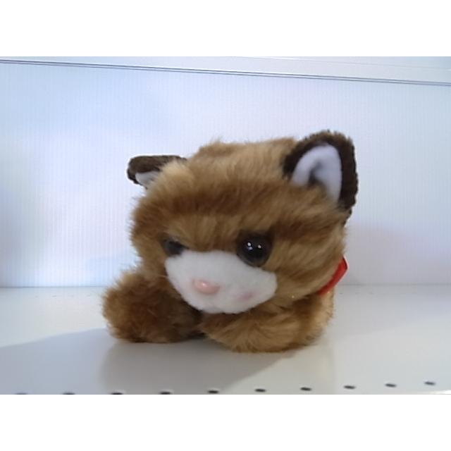 リボンネコ 茶 猫 ぬいぐるみ たけのこ : HONDA STORE - 通販 - Yahoo
