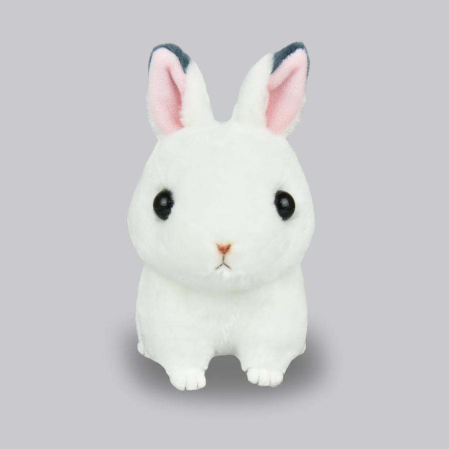 ぴょっこりユキウサギ ユキちゃん スタンダード うさぎ ぴょっこりユキウサギ ユキちゃん スタンダード うさぎ