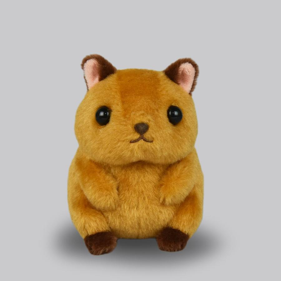 まるころリスのころりん ST きゃめるん ぬいぐるみ りす アミューズ