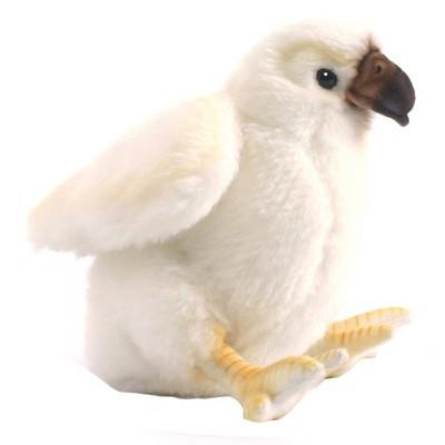 HANSA 3088 ぬいぐるみ ワシ（仔）19 EAGLET イーグル : HONDA STORE