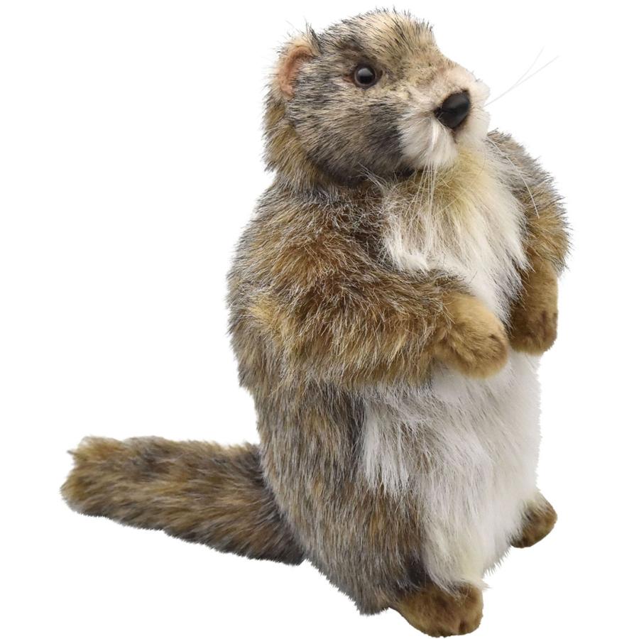 HANSA マーモット 20 MARMOT ぬいぐるみ : HONDA STORE - 通販 - Yahoo