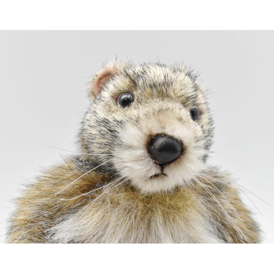 HANSA マーモット 20 MARMOT ぬいぐるみ : HONDA STORE - 通販 - Yahoo