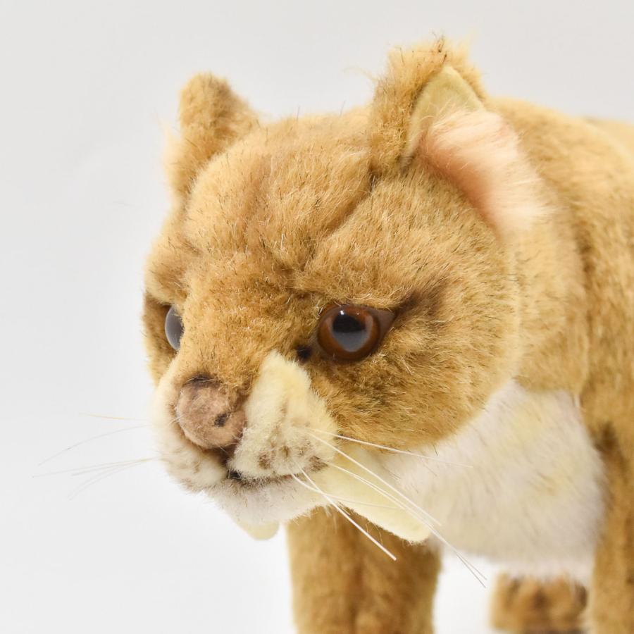 ハンサ【HANSA】ぬいぐるみ シロネコ35 白猫 白いねこ 商品一覧