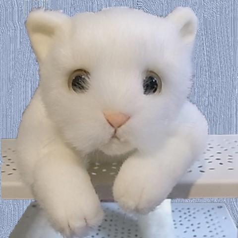シロネコ L 童心 日本製 リアルシリーズ ぬいぐるみ 猫 白猫 シロネコ L 童心 日本製 リアルシリーズ ぬいぐるみ 猫 白猫