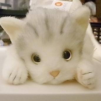 トラネコ グレー L 童心 日本製リアルシリーズ ぬいぐるみ 猫 ネコ