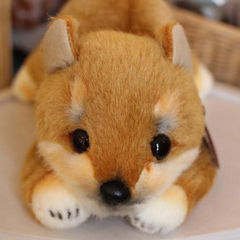 グレイスフル おねだりDOG シバイヌ 茶 柴犬 ぬいぐるみ : HONDA STORE