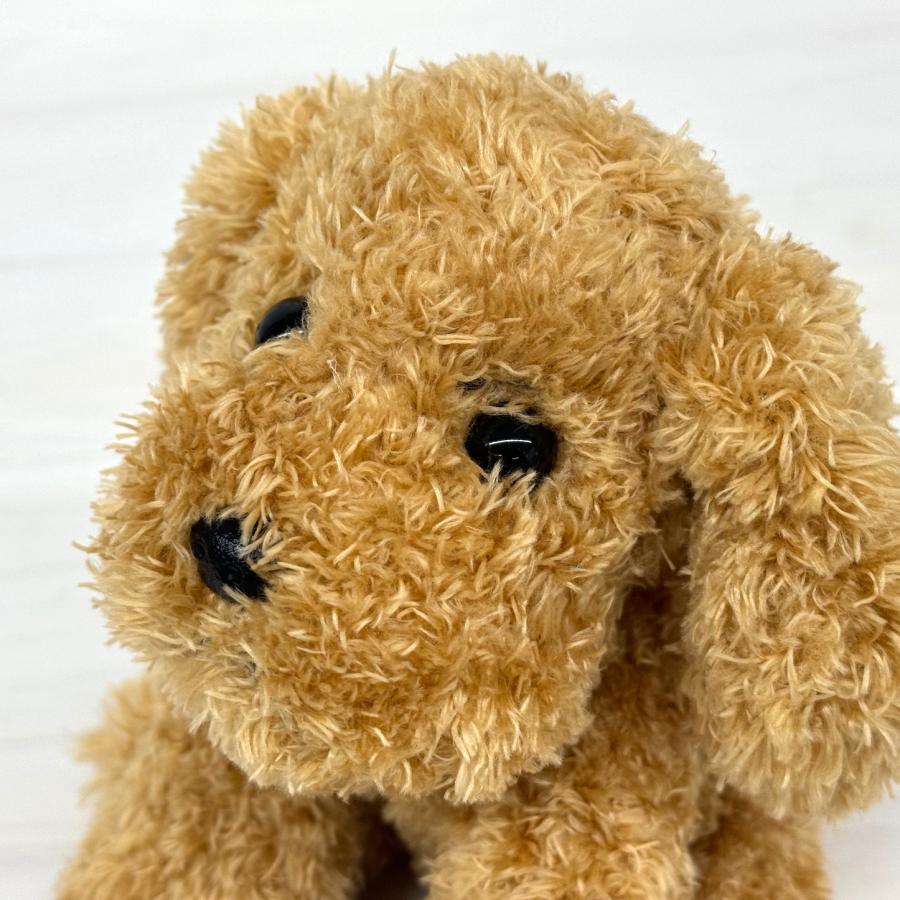 ドッグシグナル サンジュ ぬいぐるみ トイプードル 犬 サン・アロー