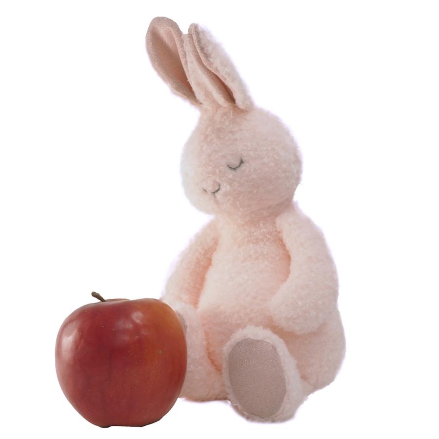 スィートドリームバニー ぬいぐるみ ウサギ うさぎ Mary Meyer メリー