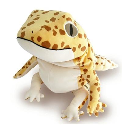 もちれおぱ Lサイズ ヒョウモントカゲモドキ レオパードゲッコー