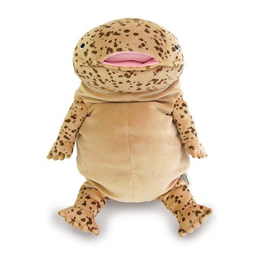 もちおおさんしょううお Lサイズ オオサンショウウオ 山椒魚