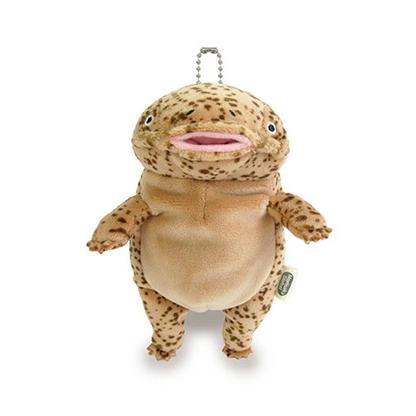 もちおおさんしょううお ミニ miniサイズ オオサンショウウオ 山椒魚