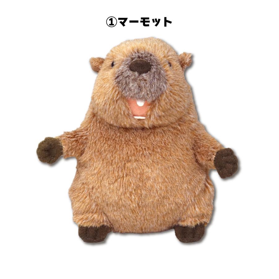 ぽちゃまる S マーモット ビーバー ぬいぐるみ 内藤デザイン研究所