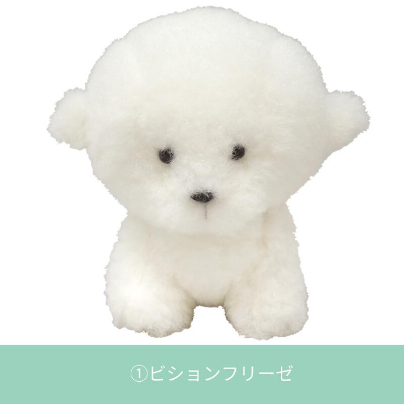 わたぽ ぬいぐるみ 犬のなかまたち ビションフリーゼ ポメラニアン