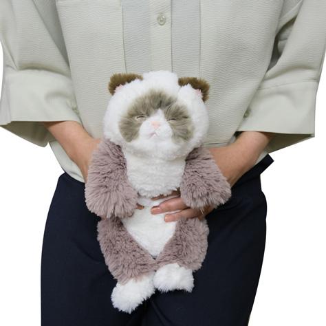 ひざねこ すやすや S ラグドール GYBR 小さいサイズ 猫 ぬいぐるみ