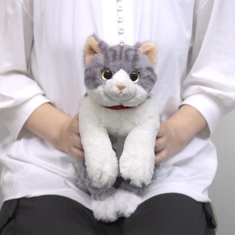 ひざねこ Sサイズ サバシロ 猫 ぬいぐるみ ネコ 本物みたいな重さ サンレモン P 7812 Honda Store 通販 Yahoo ショッピング