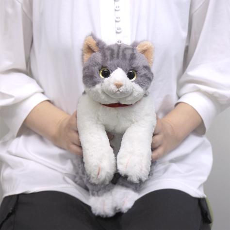 ひざねこ Sサイズ サバシロ 猫 ぬいぐるみ ネコ 本物みたいな重さ サンレモン｜hondastore｜02