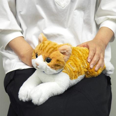 ひざねこ Sサイズ チャシロ 猫 ぬいぐるみ ネコ 本物みたいな重 ひざねこ Sサイズ チャシロ 猫 ぬいぐるみ ネコ 本物みたいな重