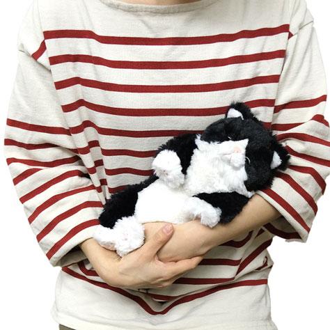 ひざねこ すやすや S ハチワレ 小さいサイズ 猫 ぬいぐるみ ネコ