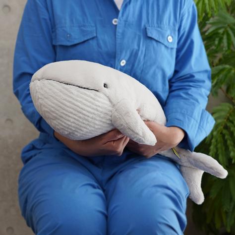 ひざくじら ぬいぐるみ クジラ シロナガスクジラ サンレモン : HONDA