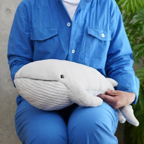 ひざくじら ぬいぐるみ クジラ シロナガスクジラ サンレモン : HONDA
