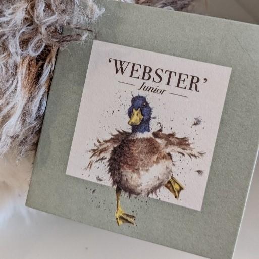 レンデール あひるのウェブスター ジュニアサイズ WEBSTER レンデール あひるのウェブスター ジュニアサイズ WEBSTER