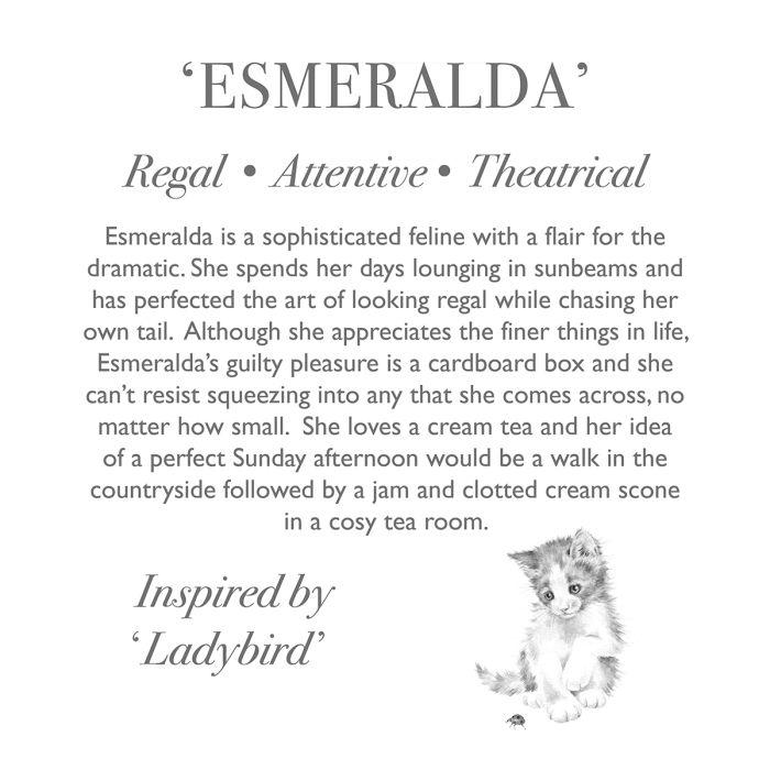 レンデール ねこのエスメラルダ Esmeralda ジュニアサイズ  ぬいぐるみ 猫 Wrendale Designsの画像