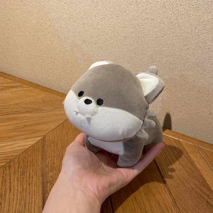 オオカミ テノリマスコット モフモフレンズ ぬいぐるみ 狼 ACCENT