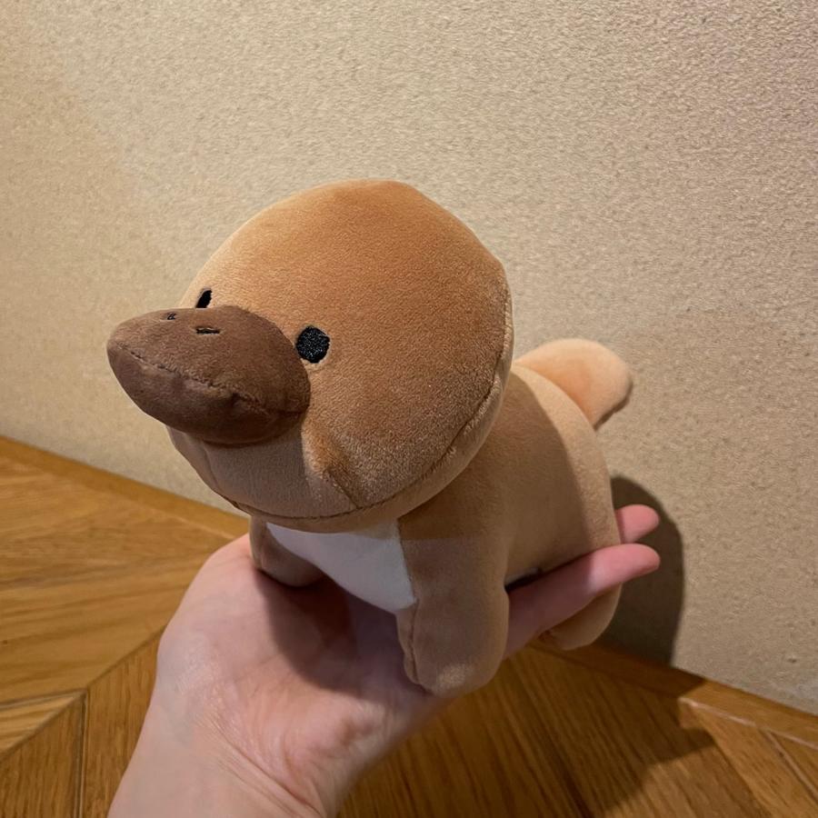 カモノハシ テノリマスコット モフモフレンズ ぬいぐるみ ACCENT