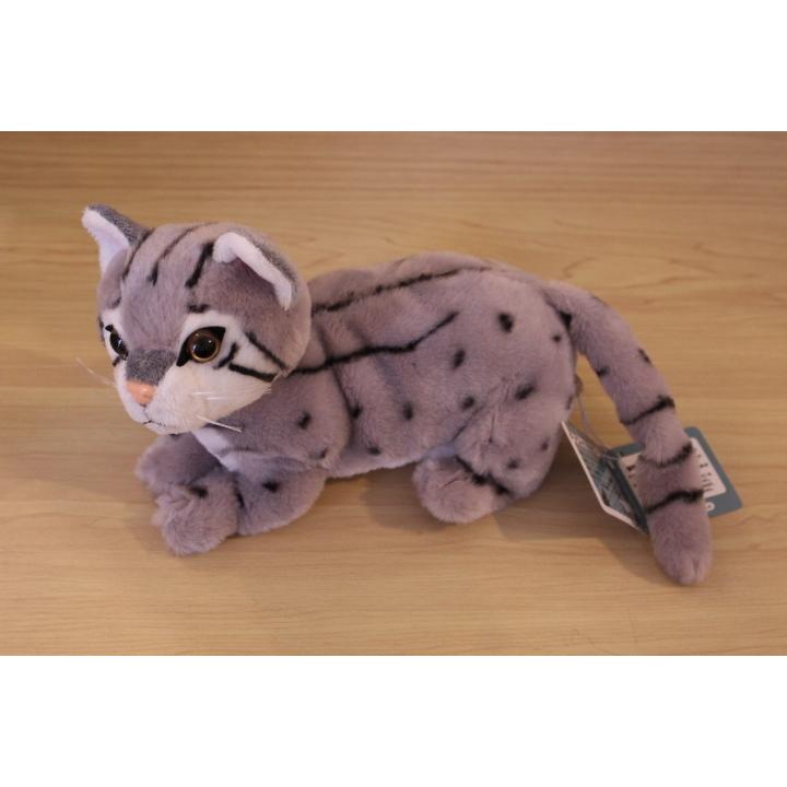 スナドリネコ ぬいぐるみ テイクオフ ネコ ねこ 山猫 : HONDA STORE