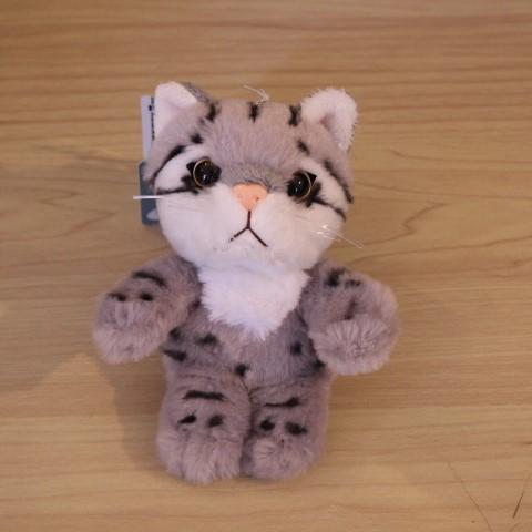 スナドリネコ キーホルダー ぬいぐるみ テイクオフ ネコ ねこ 山猫 To Ficatkc Honda Store 通販 Yahoo ショッピング