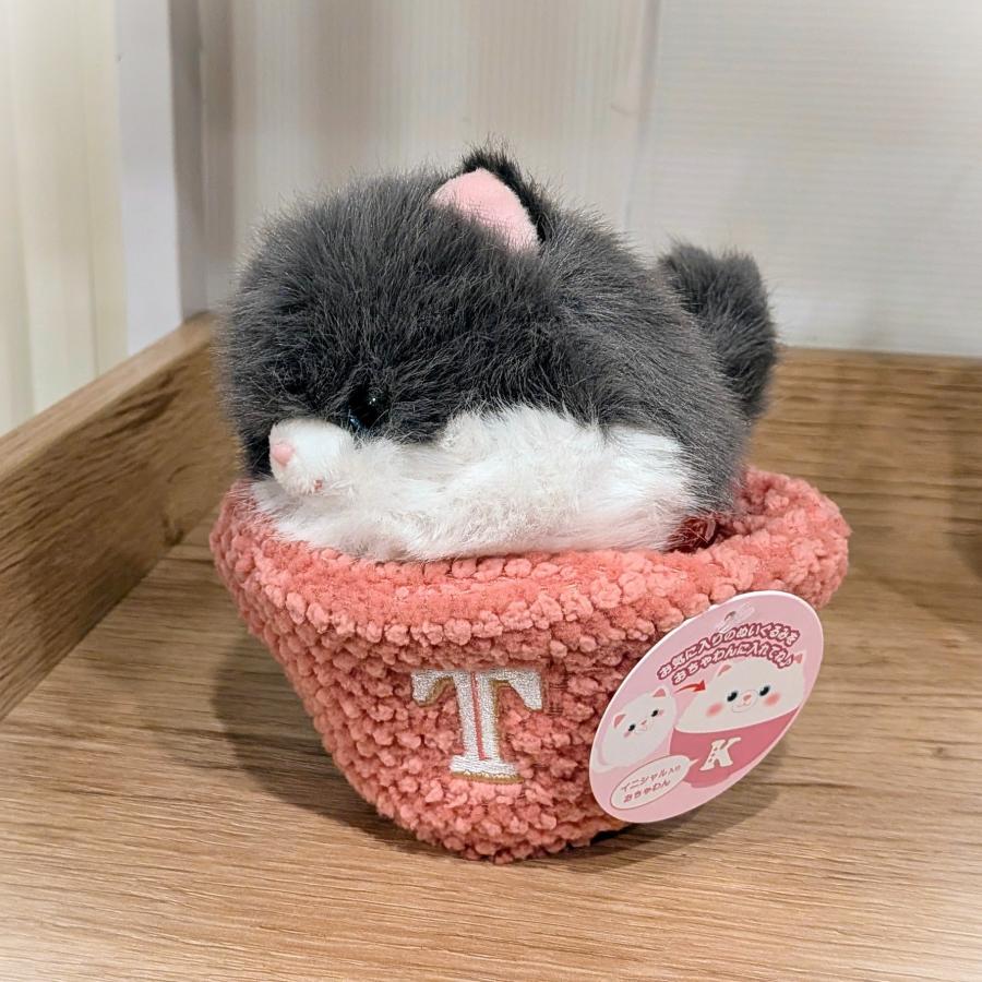 ねこまんま 猫 ぬいぐるみ テイクオフ【イニシャルおちゃわんは別売り