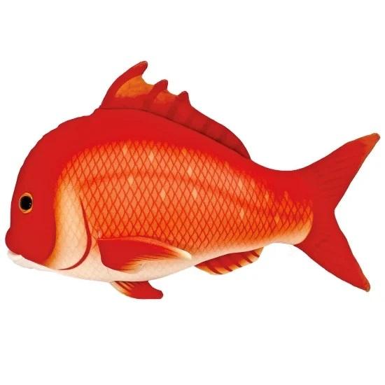 タイ ぬいぐるみ 鯛 海と魚 海水魚 テイクオフ : HONDA STORE - 通販
