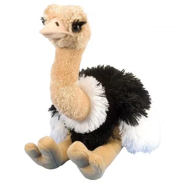 ワイルドリパブリック ダチョウ ぬいぐるみ 鳥 だちょう : HONDA