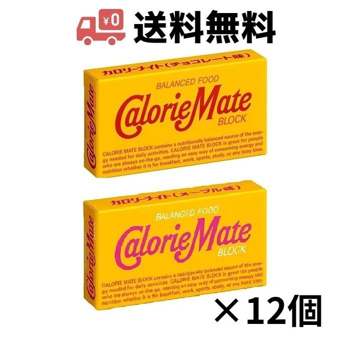 大塚製薬 カロリーメイト ブロック 2本入り 12個セット（チョコ