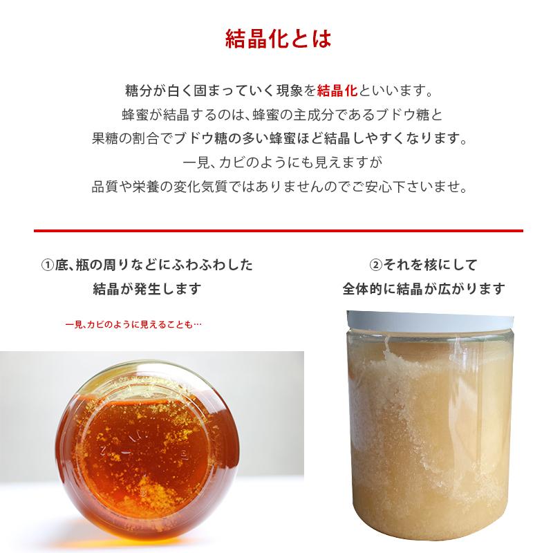 国産純粋はちみつ250g 国産はちみつ はちみつ 蜂蜜 非加熱 トンガリ