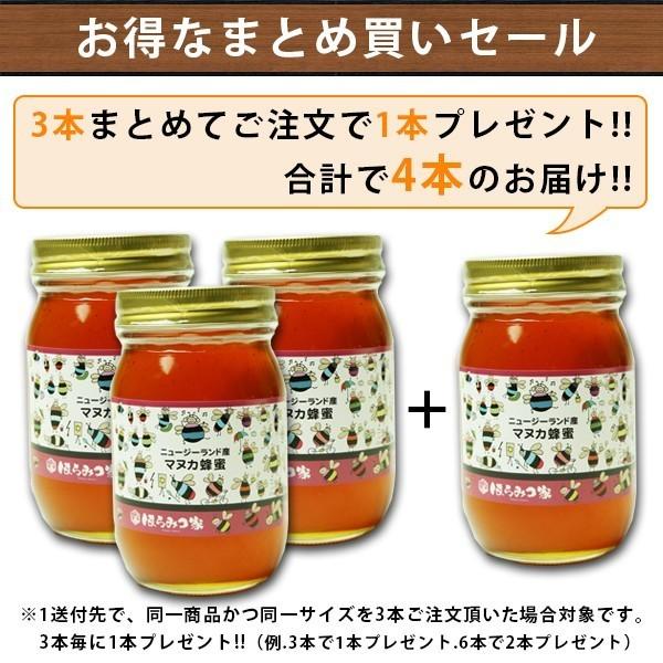 マヌカハニー 600g ニュージーランド スタンダード 送料無料 非加熱